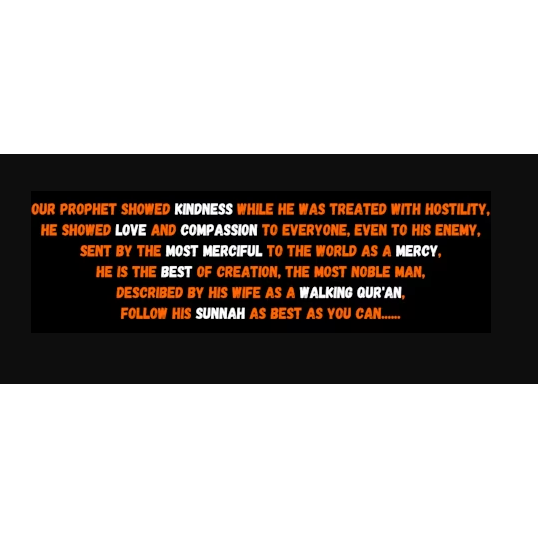 Getting To Know Muhammad - A Rhyming Verse Novel