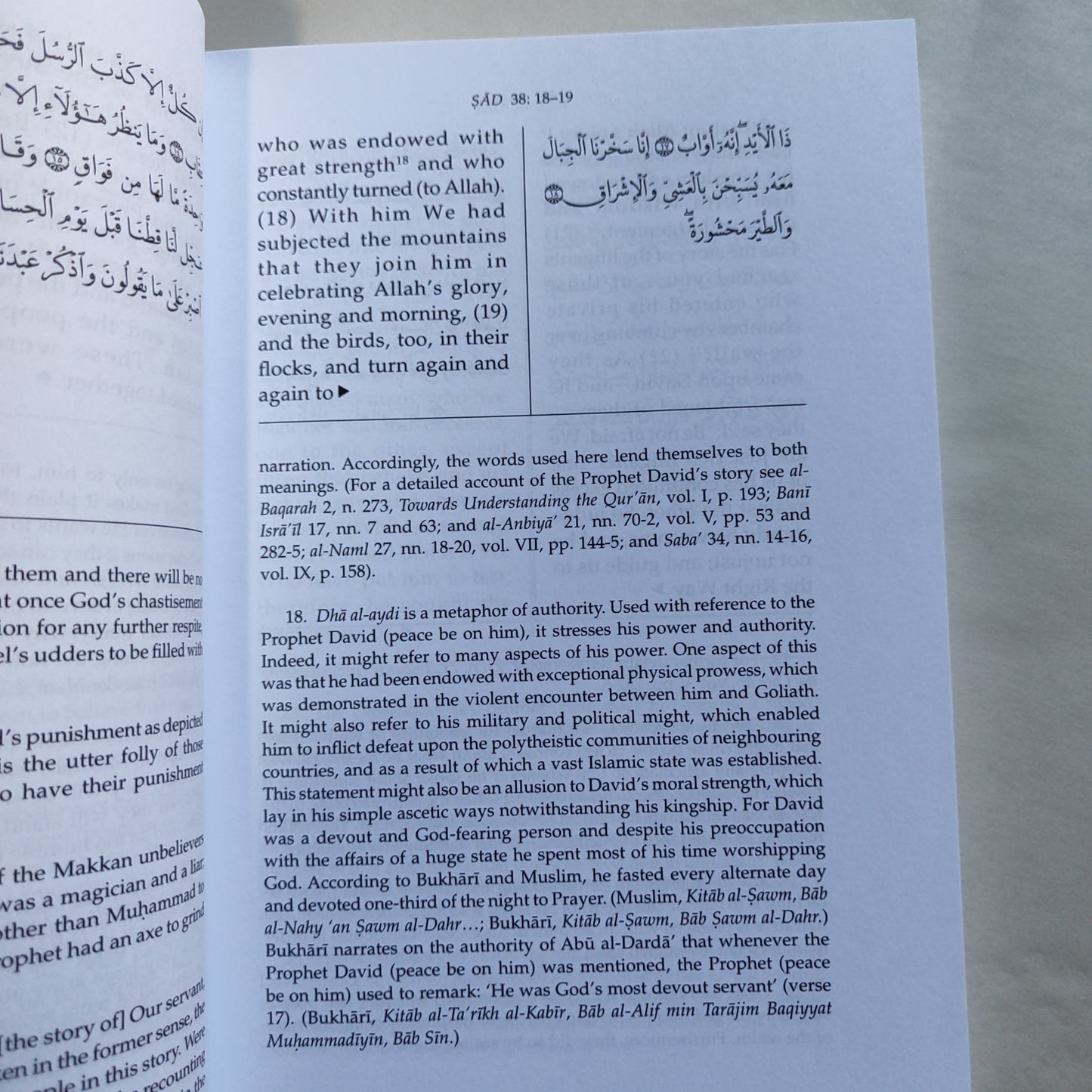 Towards Understanding The Quran (Tafhim Al-Quran) Volume 10