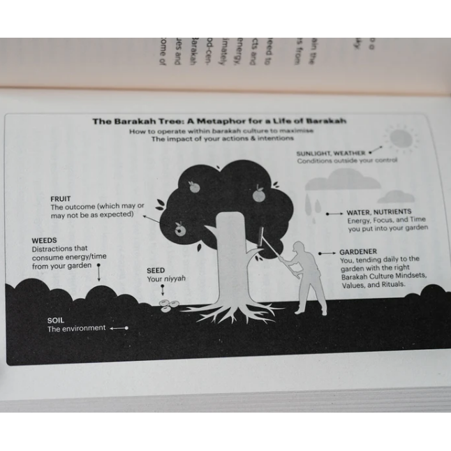The Barakah Effect: More With Less
