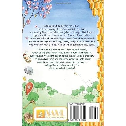 The Tiny Compass - Unexpected Journey