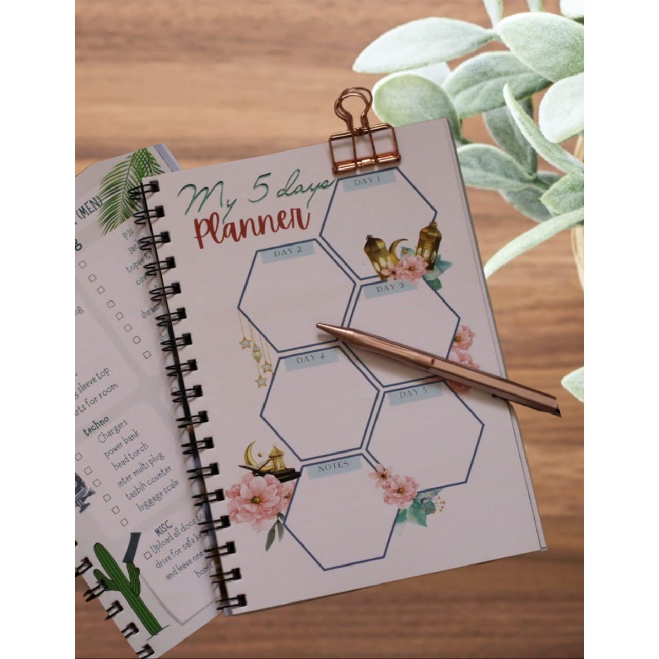 Hajj Journal: My Journey to Hajj