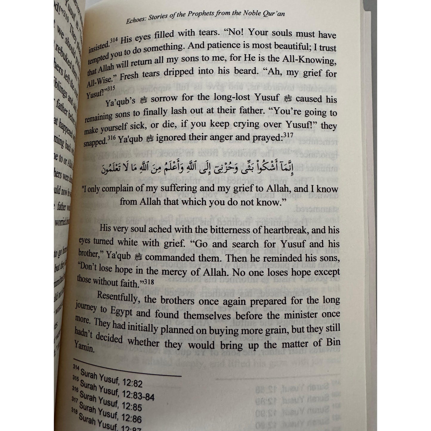 Echoes: Stories of the Prophets from the Noble Qur’an