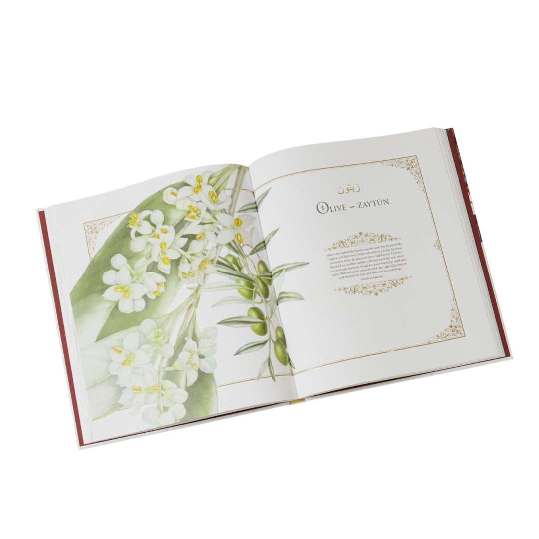 Plants of the Qur'an: History & Culture