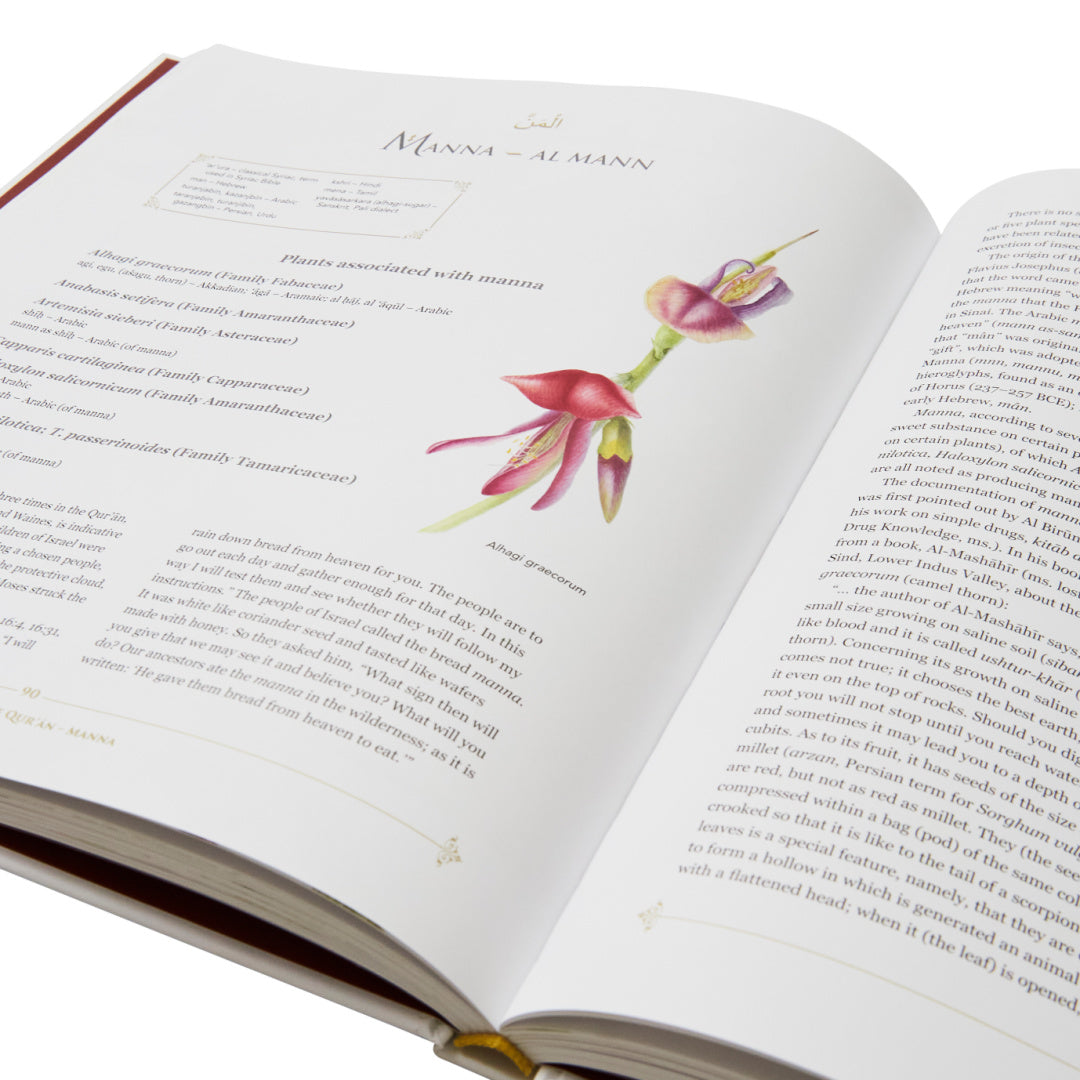 Plants of the Qur'an: History & Culture