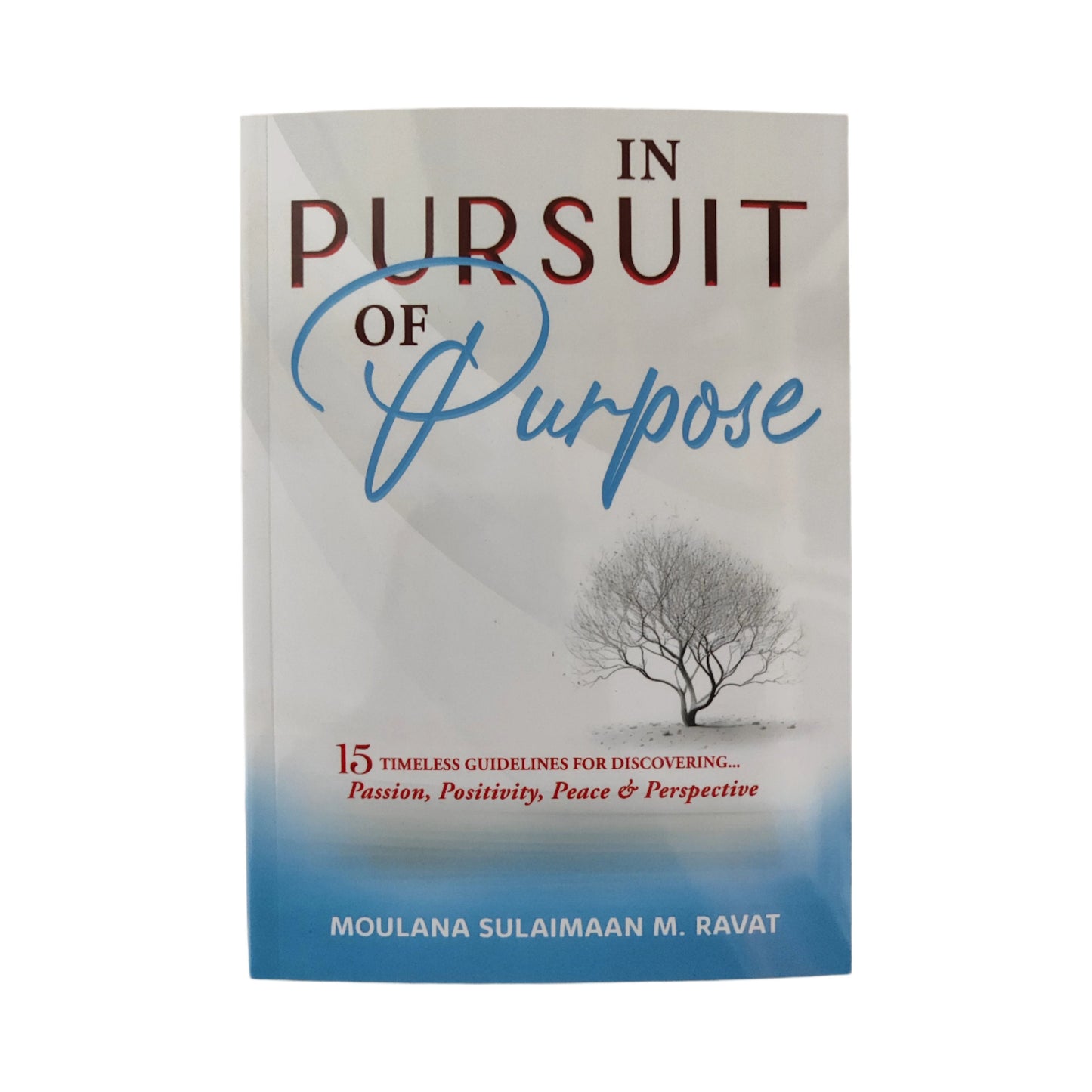 In Pursuit of Purpose: 15 Timeless Guidelines for Discovering Passion, Positivity, Peace & Perspective