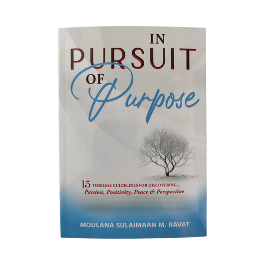 In Pursuit of Purpose: 15 Timeless Guidelines for Discovering Passion, Positivity, Peace & Perspective