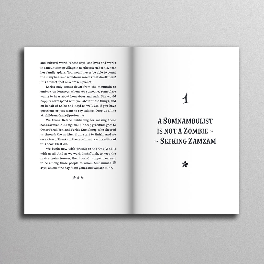 Children of Salik: Treasure hunt