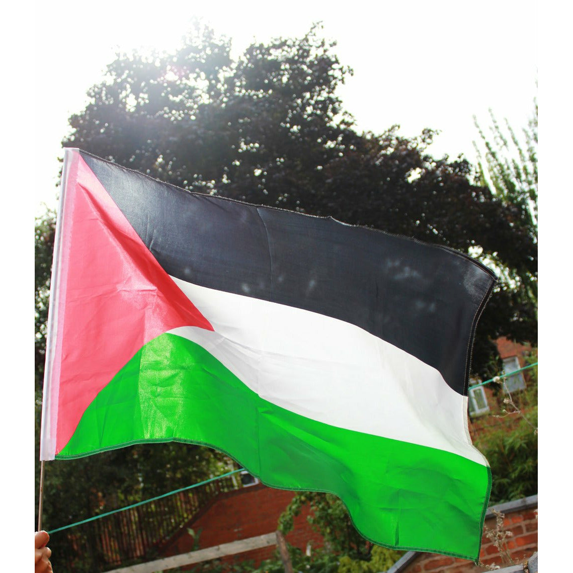 Palestine Flag