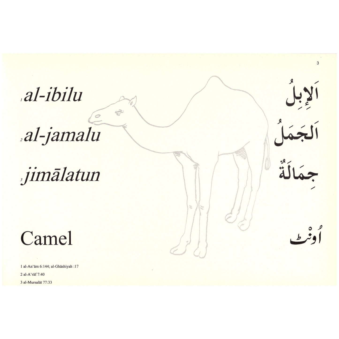 Colouring Book: Animals Mentioned in the Qur'an