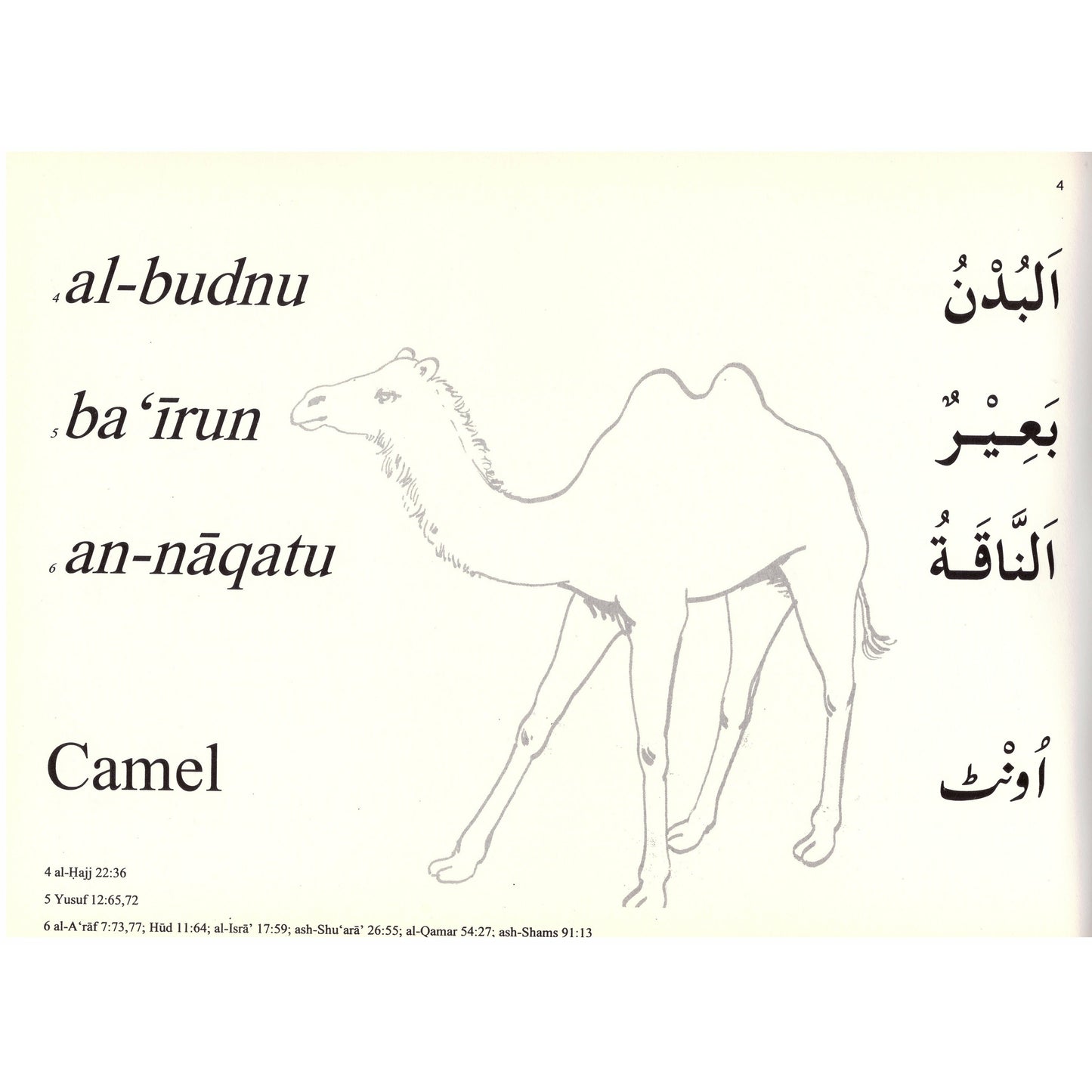 Colouring Book: Animals Mentioned in the Qur'an
