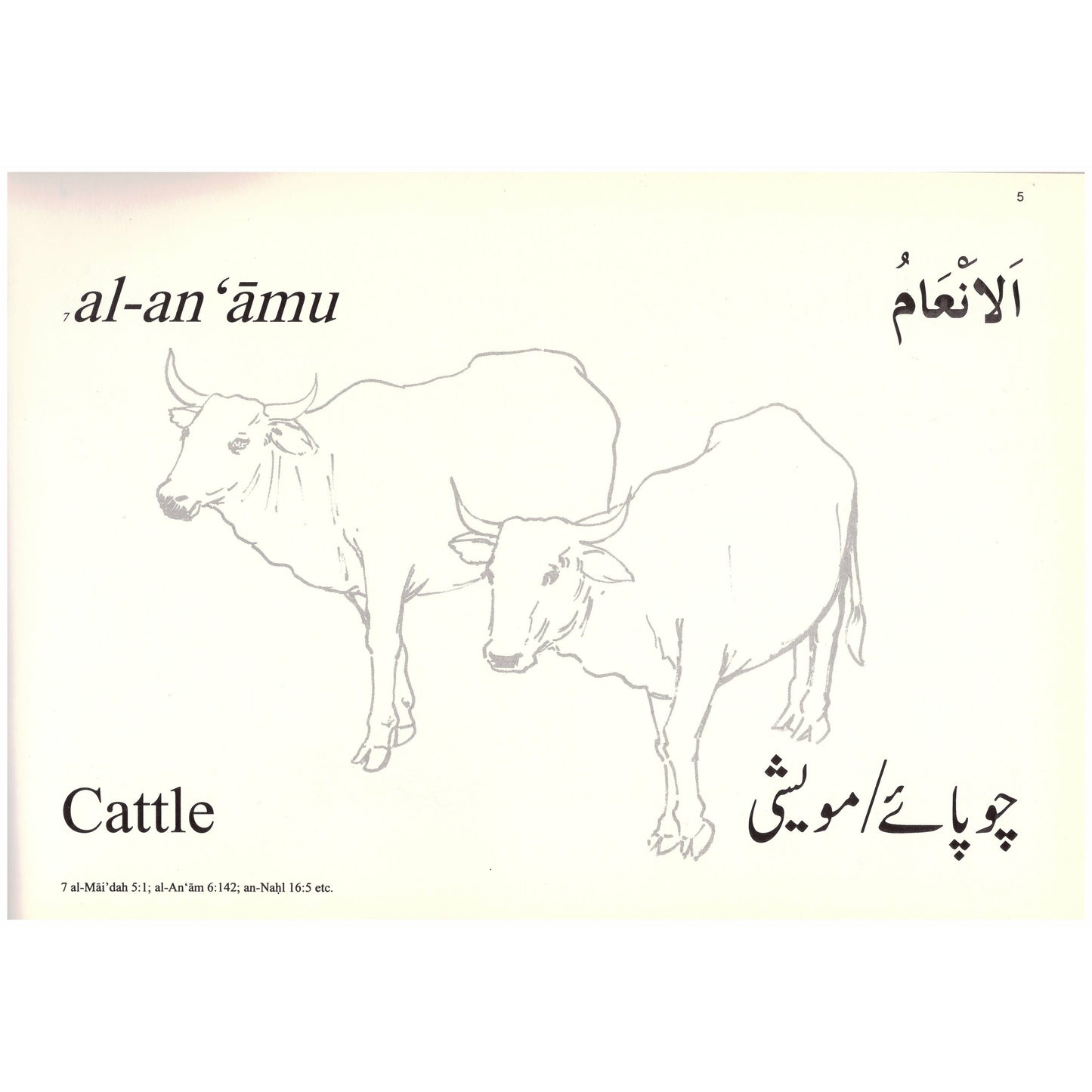 Colouring Book: Animals Mentioned in the Qur'an