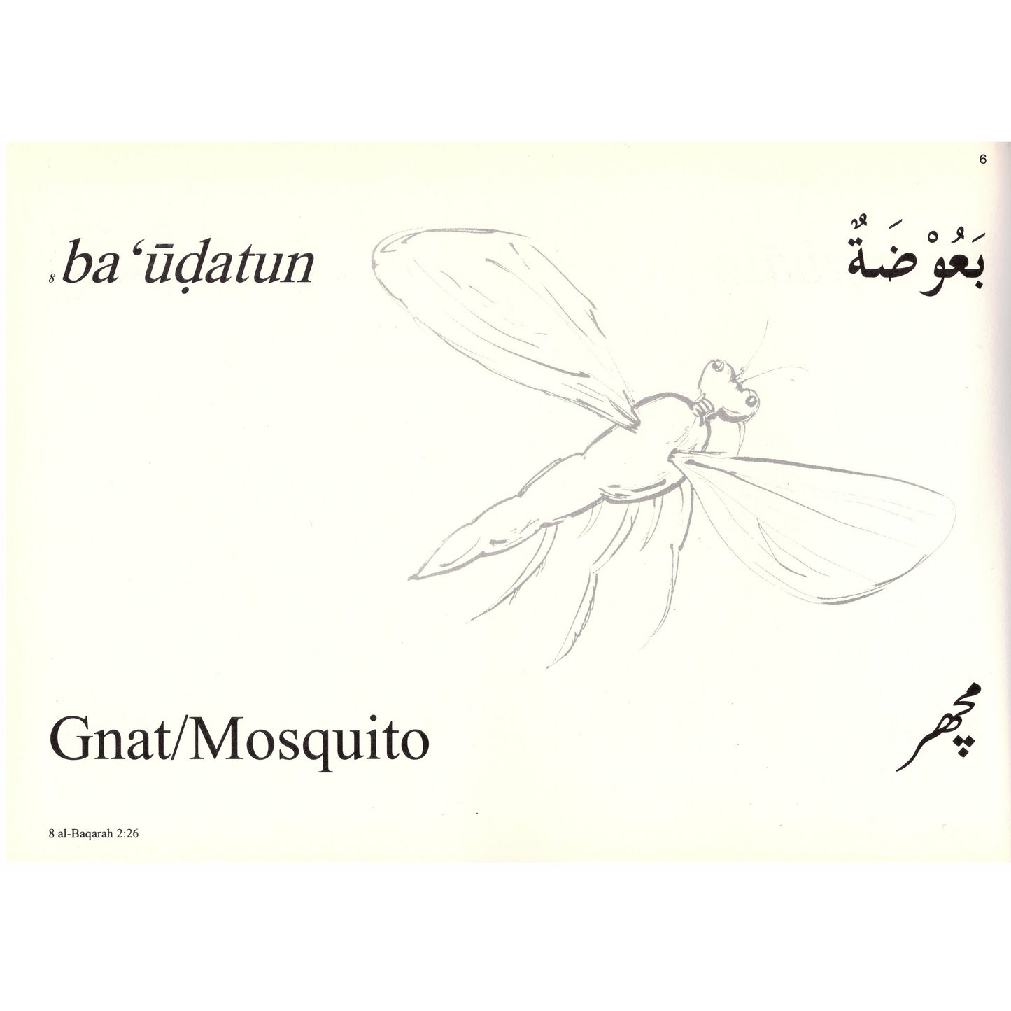 Colouring Book: Animals Mentioned in the Qur'an