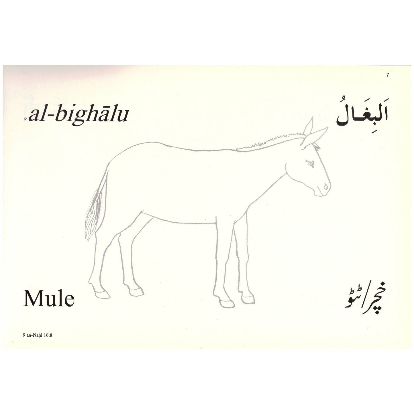 Colouring Book: Animals Mentioned in the Qur'an