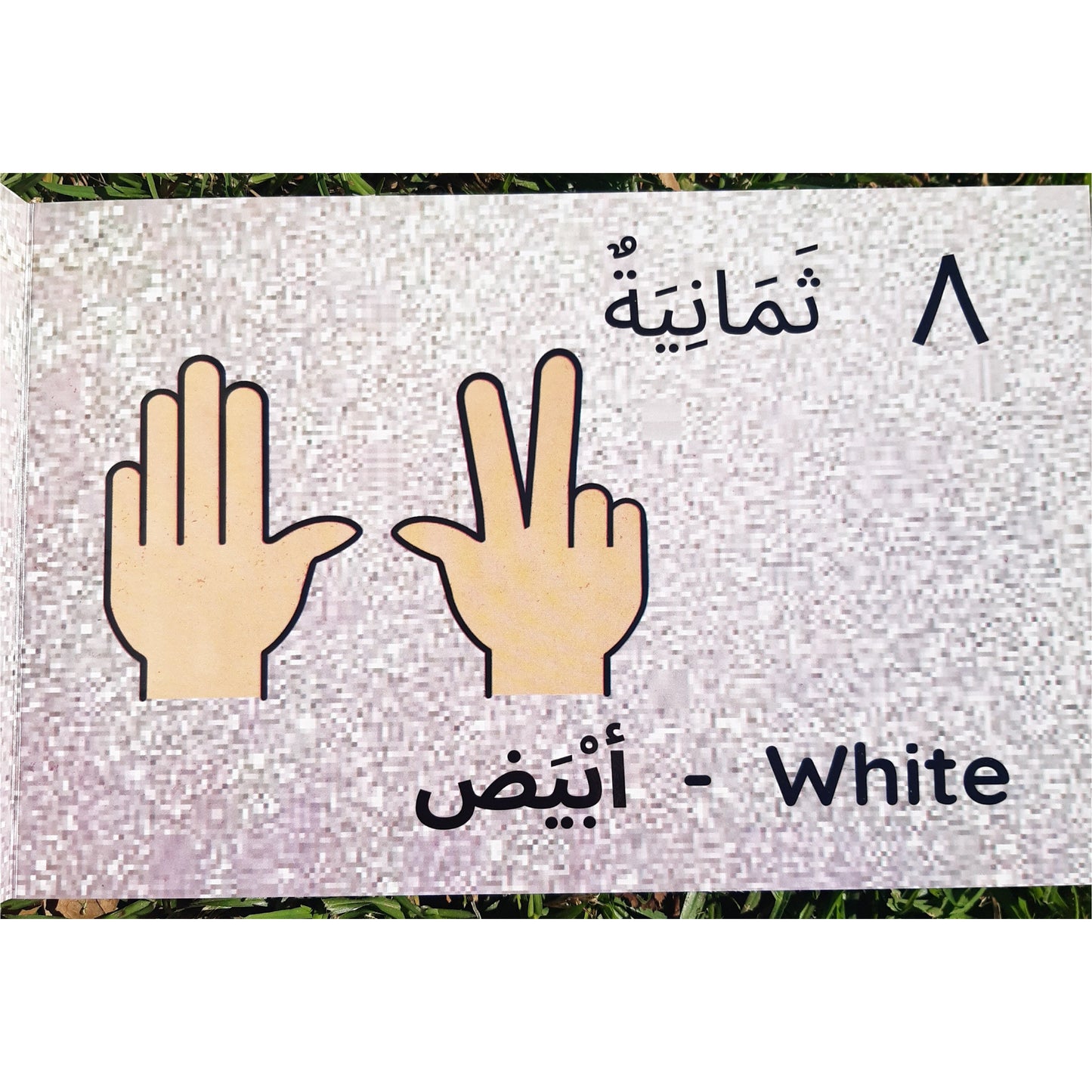 My First Book Of Colours, Numbers And Shapes