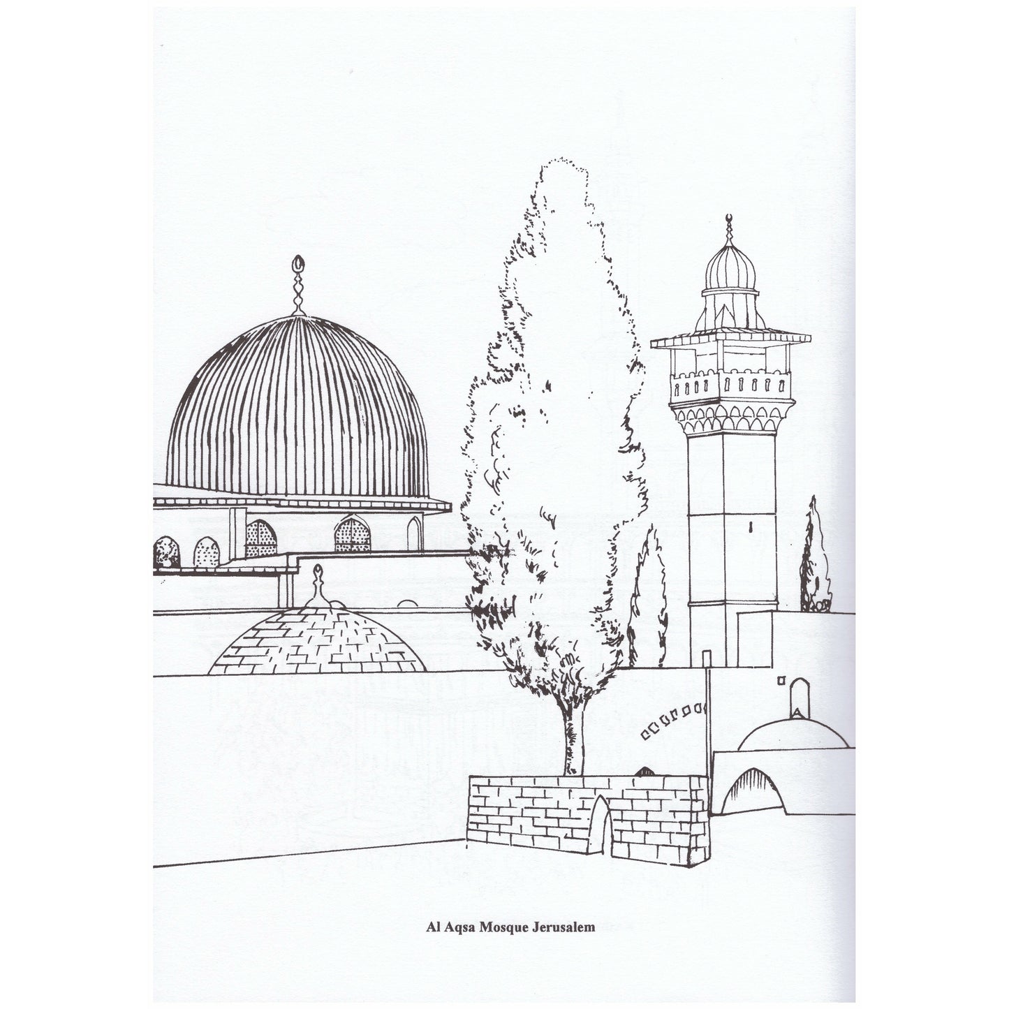 Colouring Book: The Mosques of the World