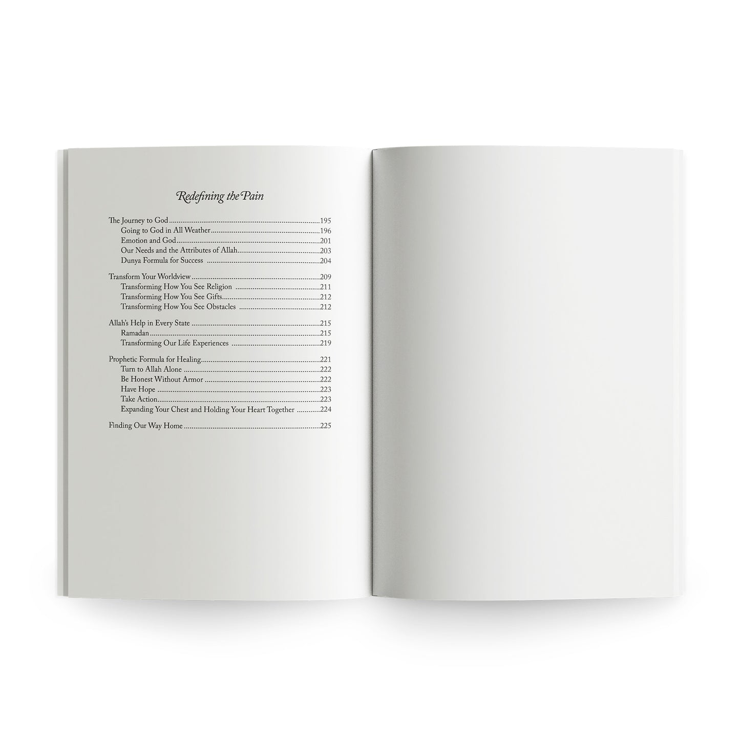 Healing the Emptiness: A guide to emotional and spiritual well-being