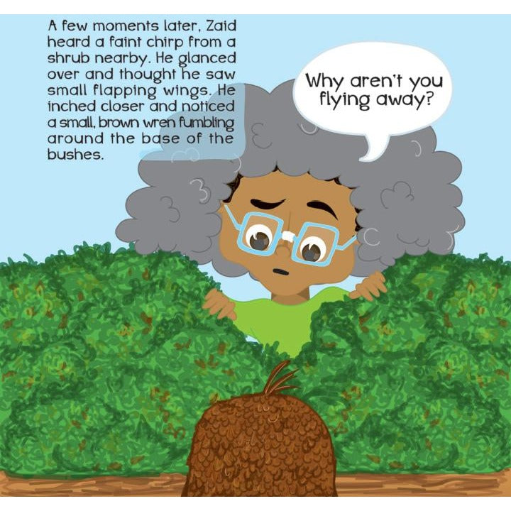 Zaid and the Gigantic Cloud