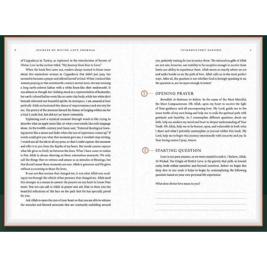 Secrets of Divine Love Journal