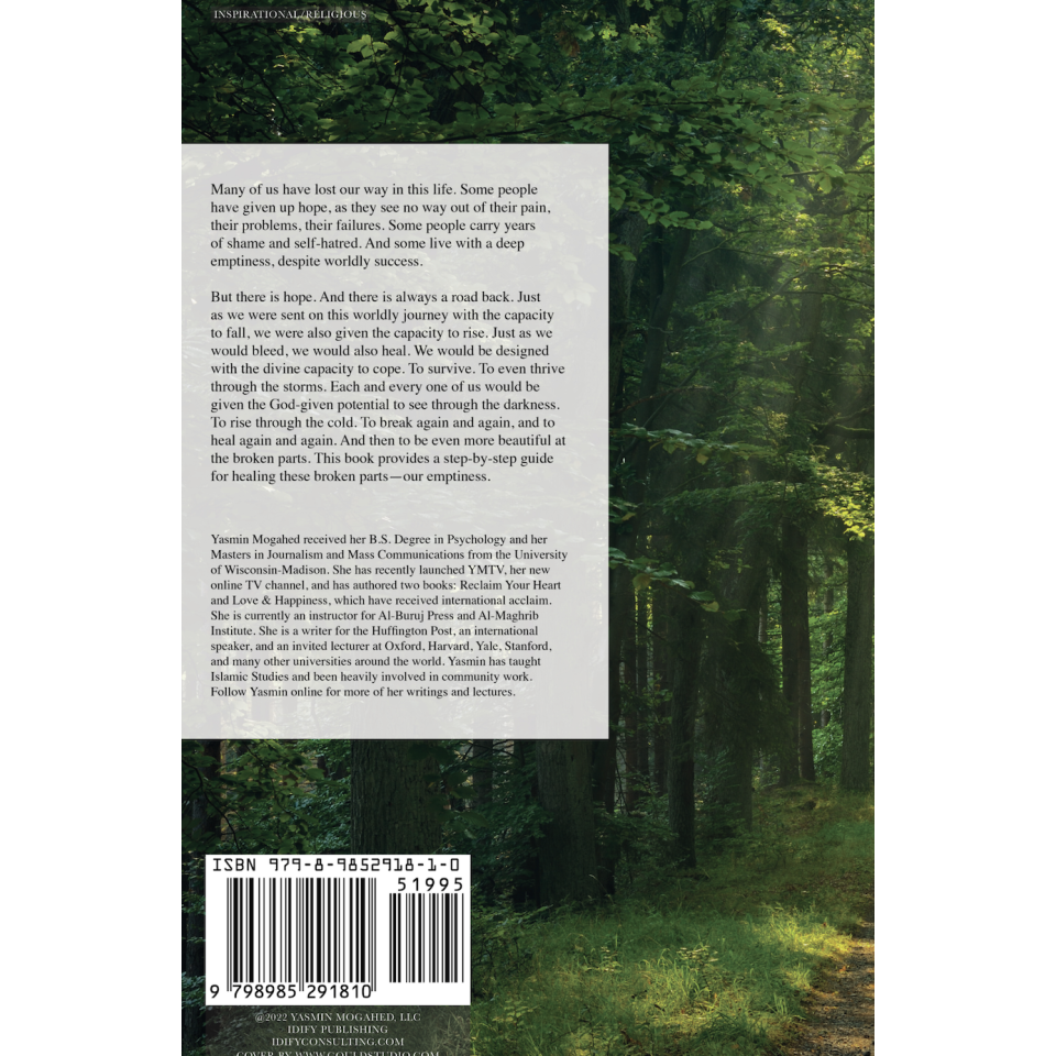 Healing the Emptiness: A guide to emotional and spiritual well-being