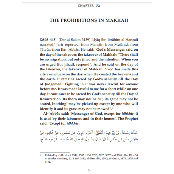 Sahih Muslim - With the Full Commentary by Imam Nawawi: Volume 8