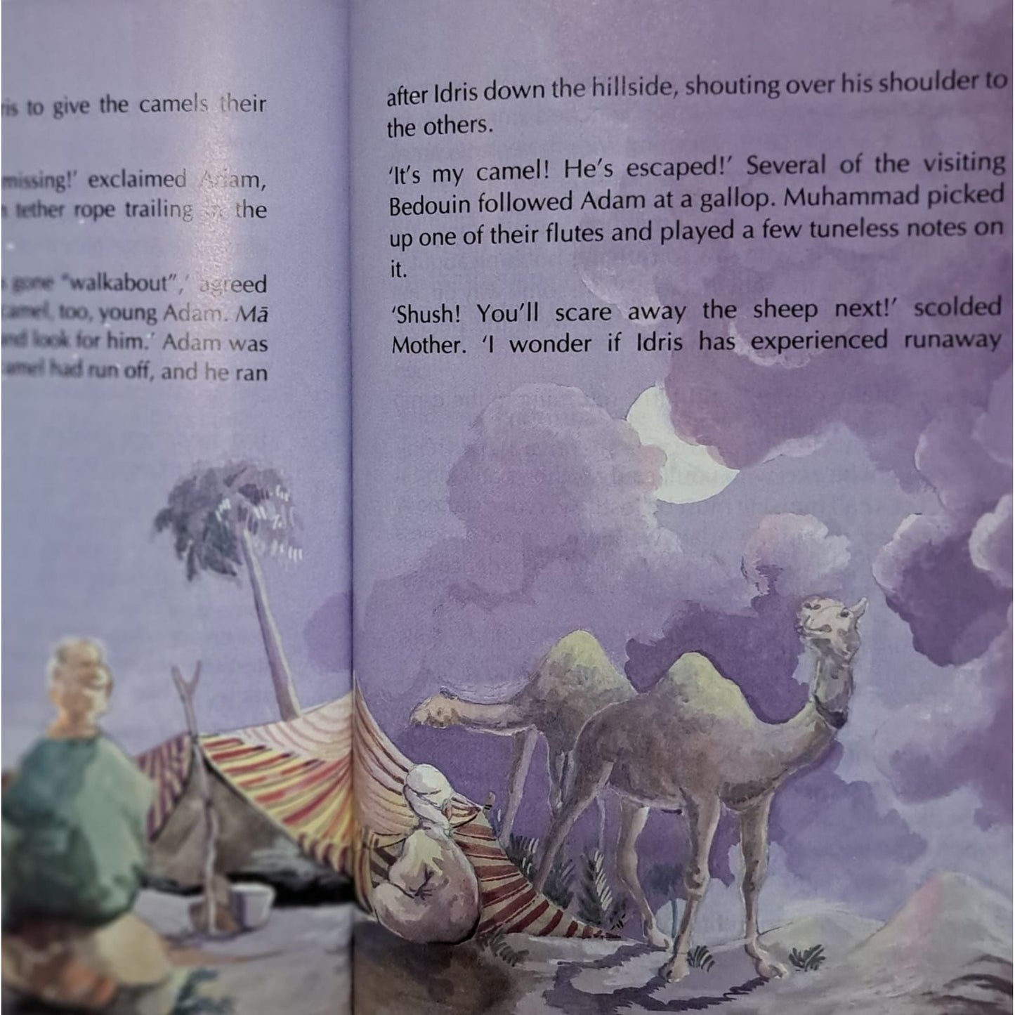 Adventures in the Nile Valley