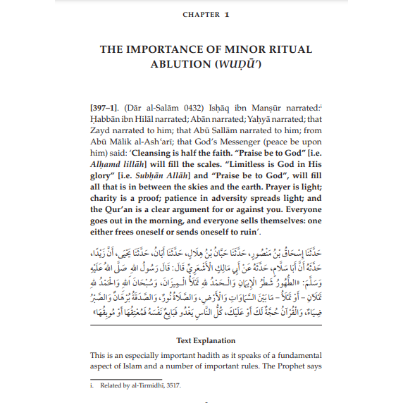 Sahih Muslim - With the Full Commentary by Imam Nawawi: Volume 3