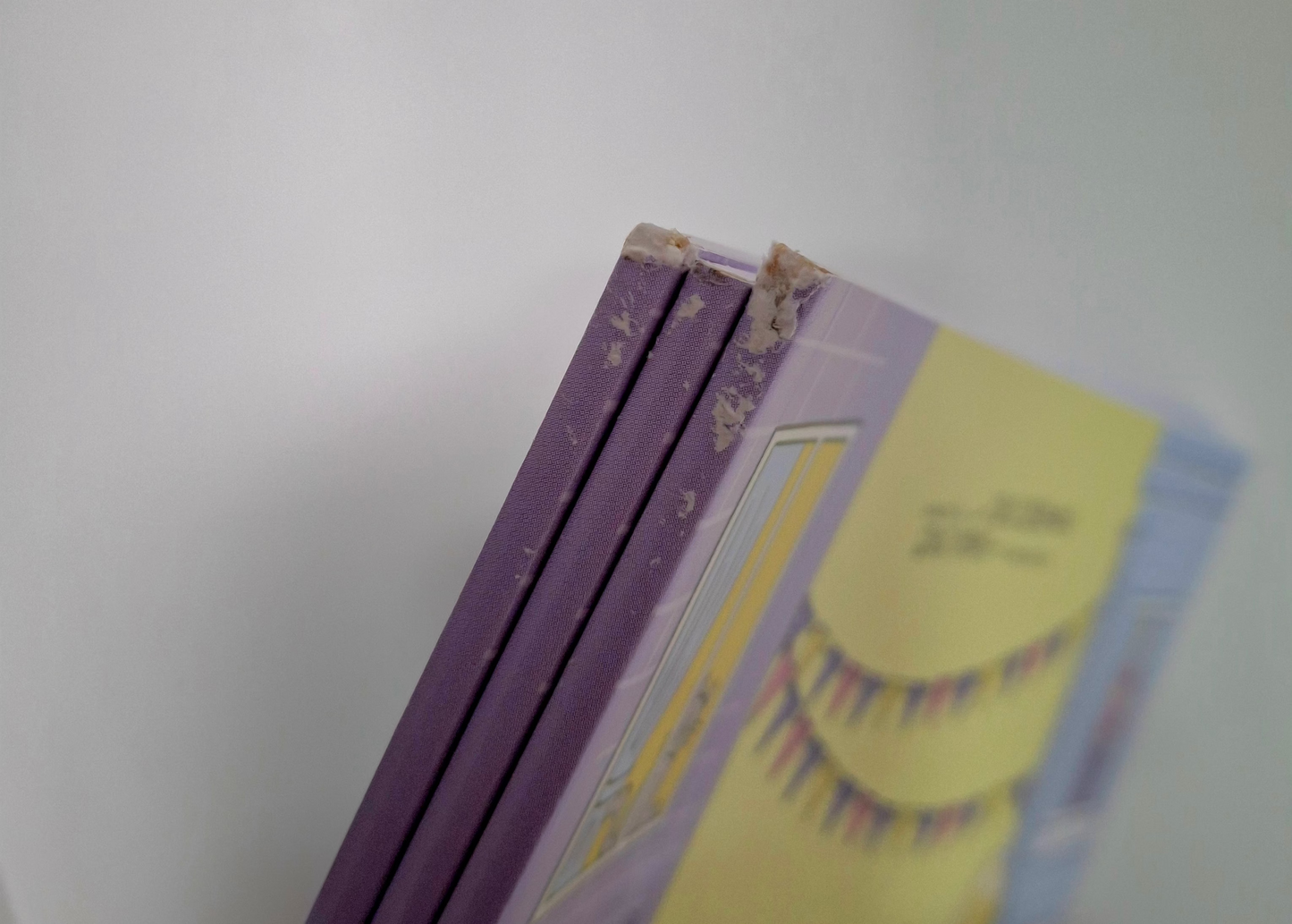 WAREHOUSE CLEARANCE: My Beloved Ramadan: Find-Spot-Count (Seek & Find Book for Young Muslims)(SPINE SLIGHTLY DAMAGED)