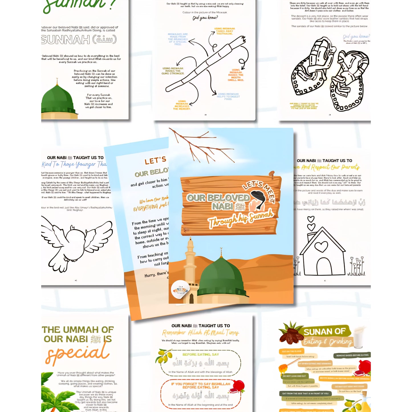 Let's Meet our Beloved Nabi ﷺ Through his Sunnah