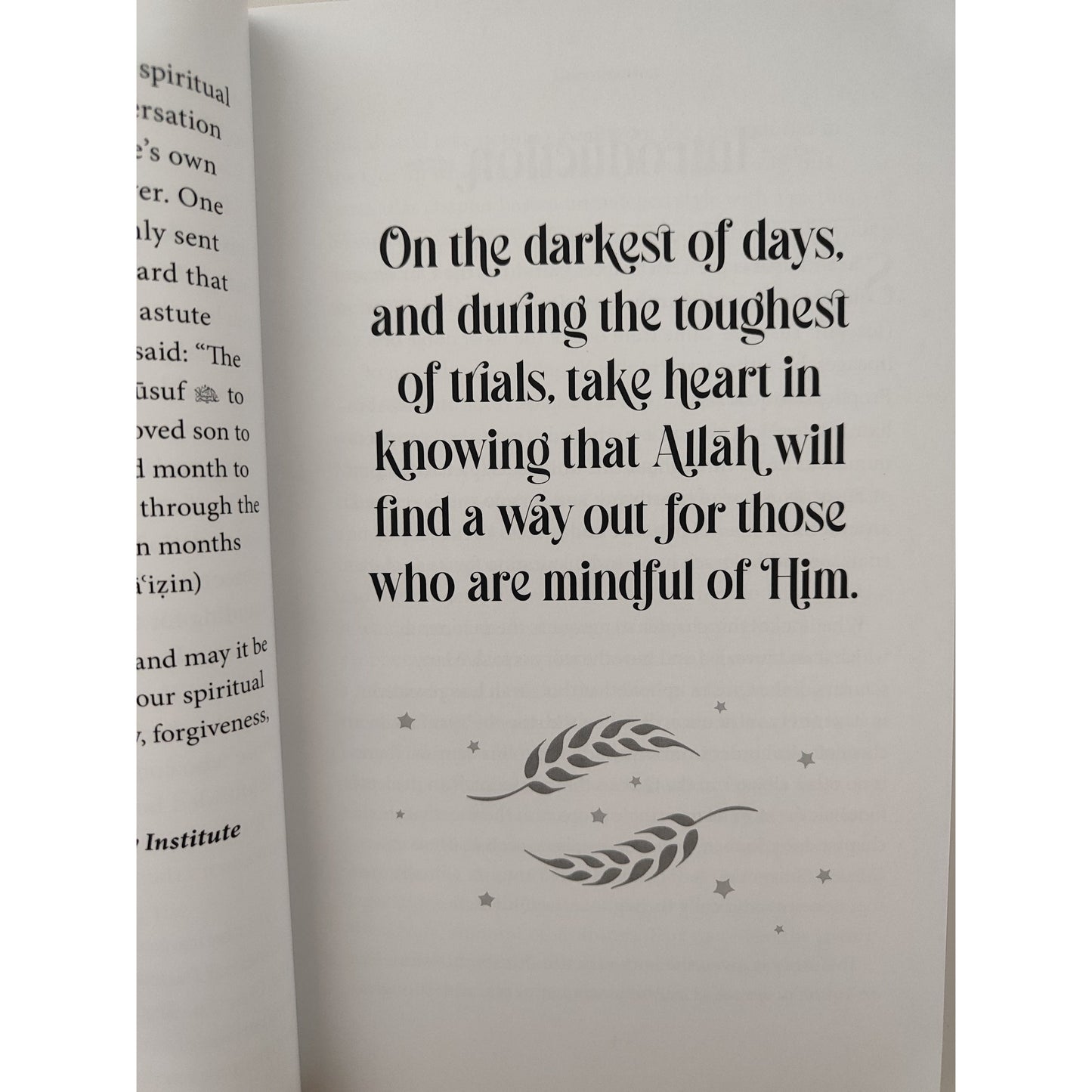 A Beautiful Patience: 40 Life Lessons from Surah Yusuf