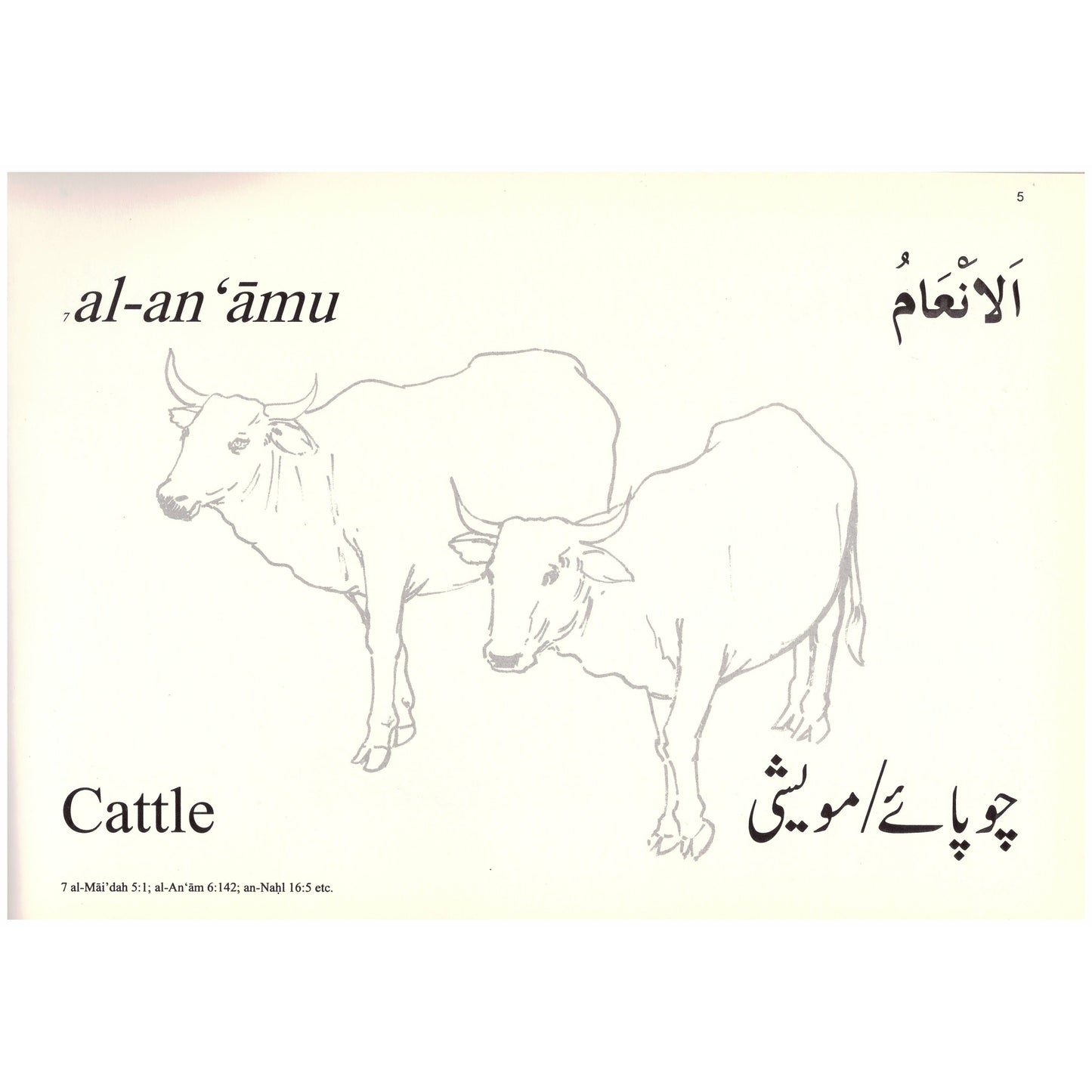 Colouring Book: Animals Mentioned In The Qur'an