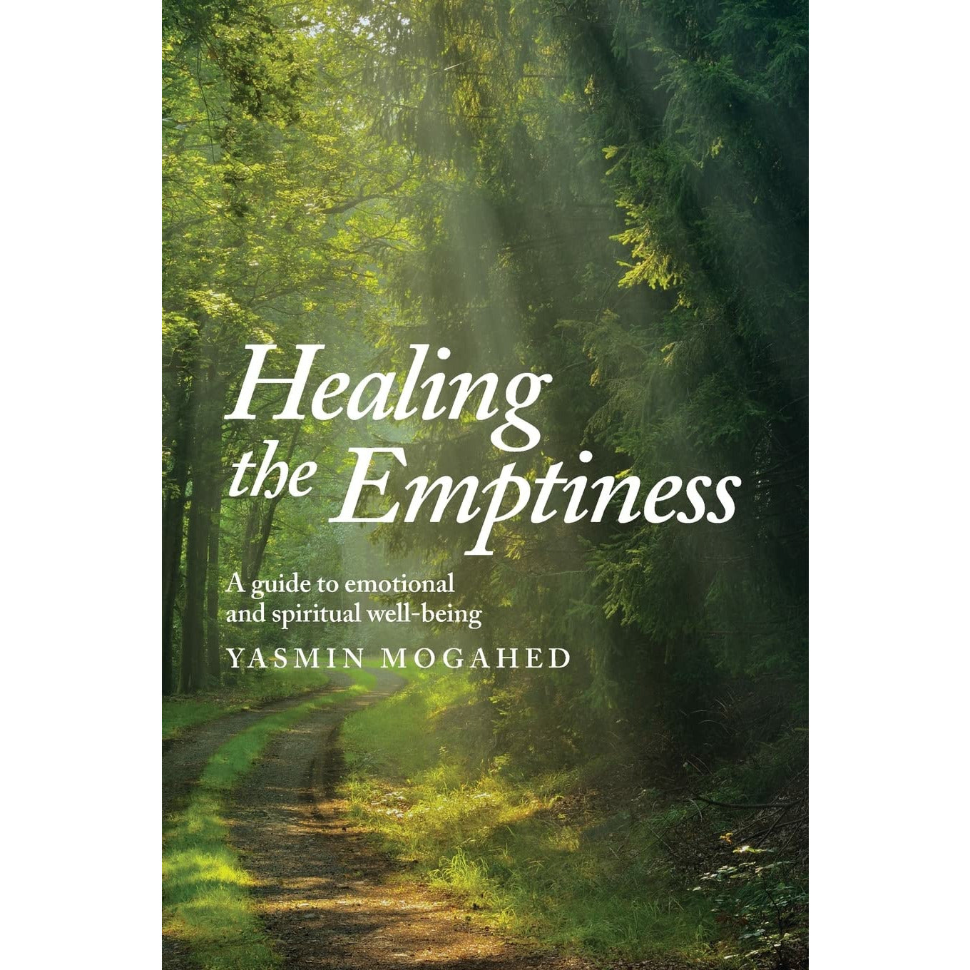 Healing the Emptiness: A guide to emotional and spiritual well-being