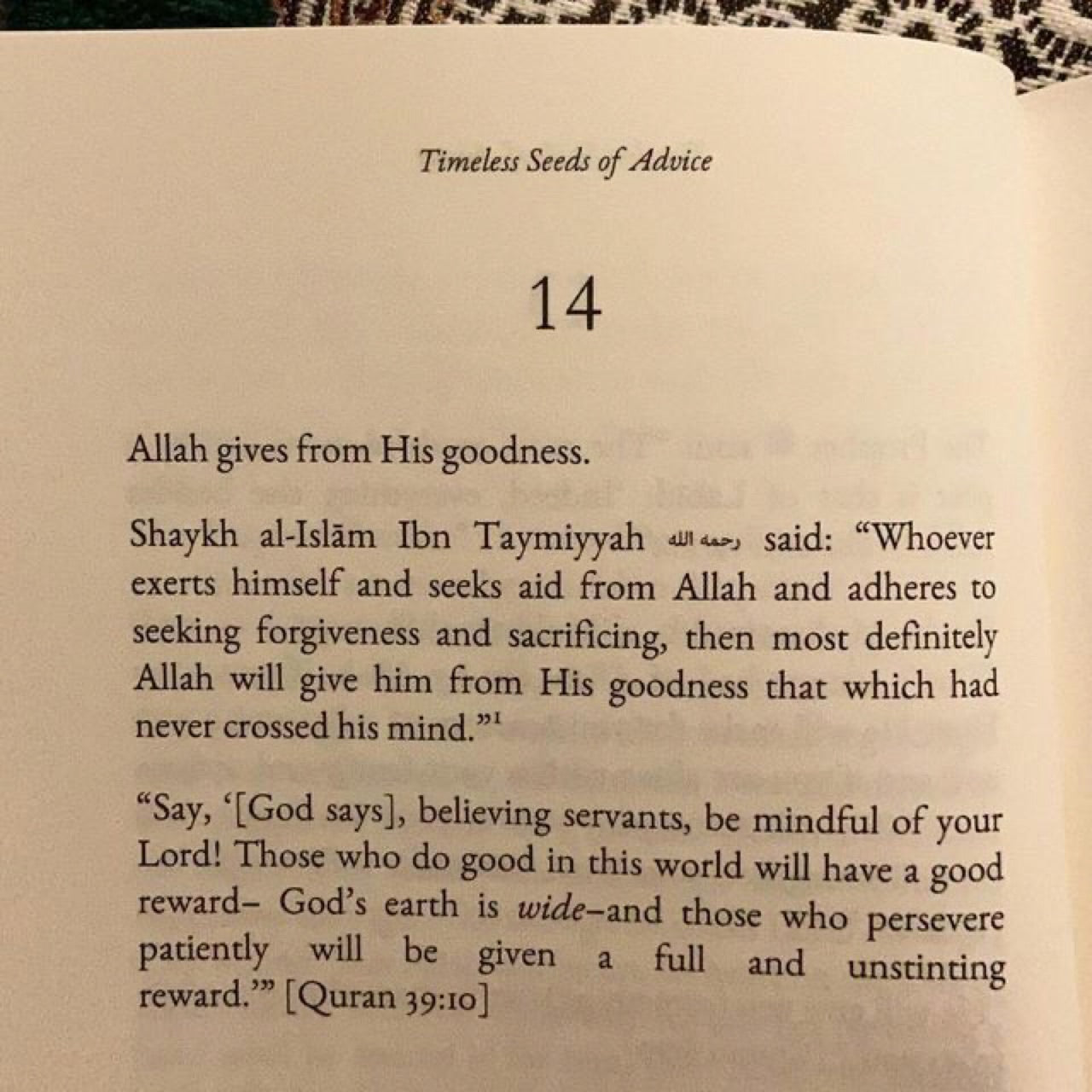 Timeless Seeds of Advice