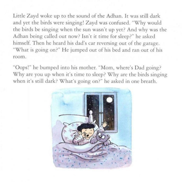 Zayd's Curious Little Stories: Set of 10 books
